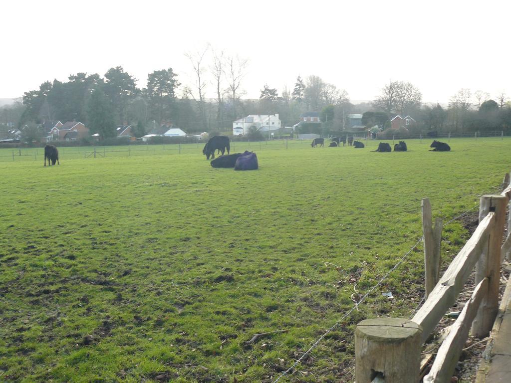 Forest View B&B Landford Room photo
